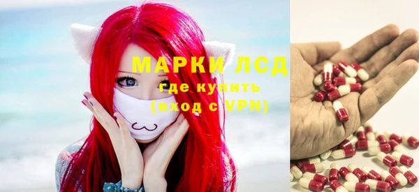 гашик Алзамай