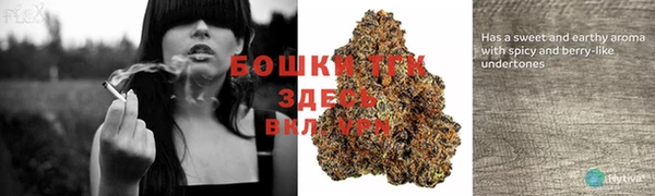соль курить ск Алексеевка