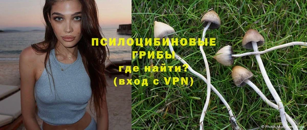 синтетический гашиш Алексин