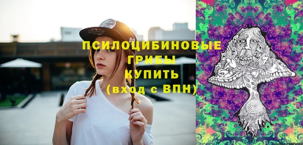 гашик Алзамай